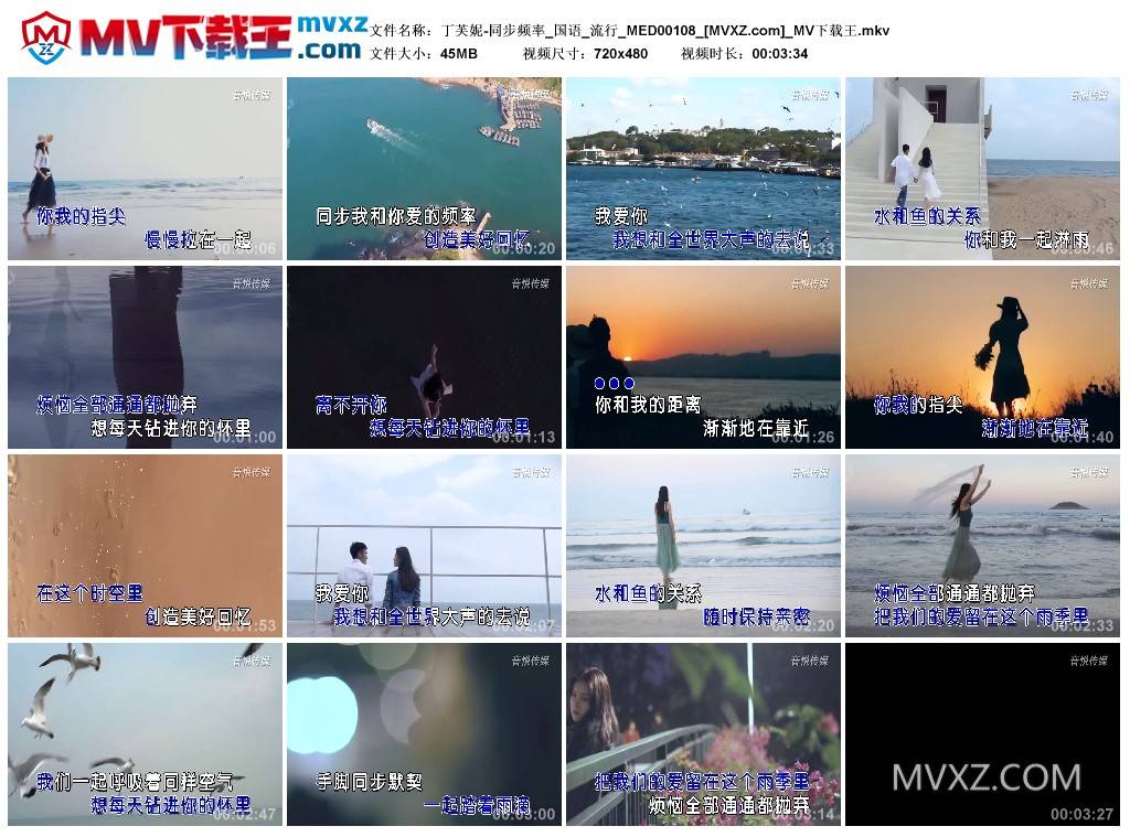 丁芙妮-同步频率_国语_流行_MED00108